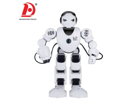 Educational Humanoid Robot (Toy)